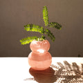 Misty Rose - Vintage Pink Glass Vase