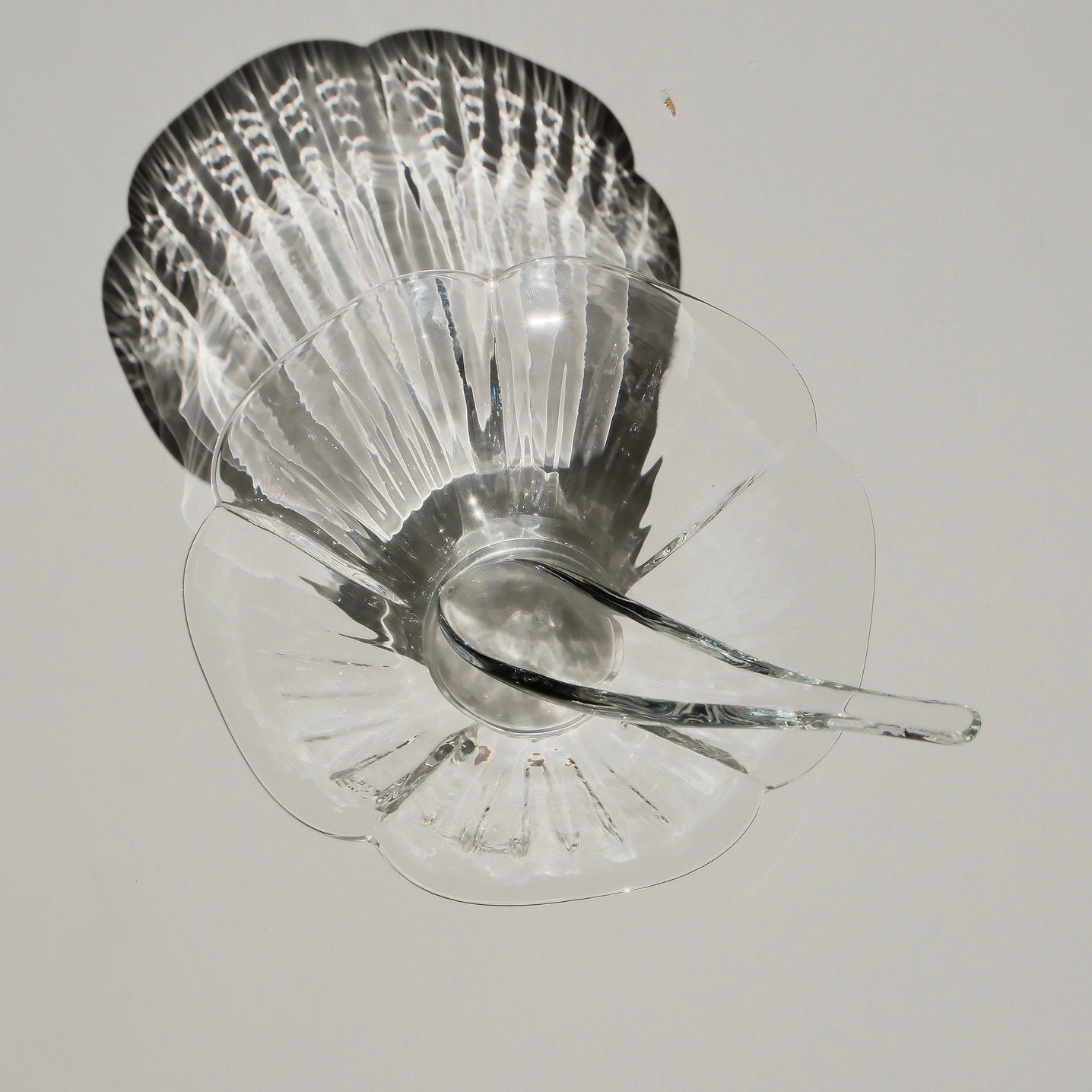 Clear Floral Bowl with Spoon