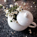 Pear Shape - Apricot White Mini Tea Pot