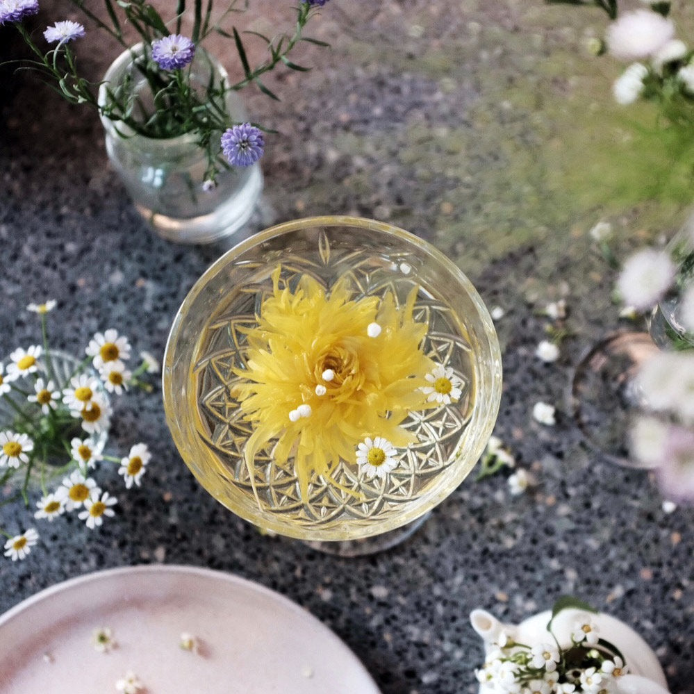 Royal Chrysanthemum - 10pcs